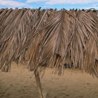 Restaurant POS & Kitchen Display