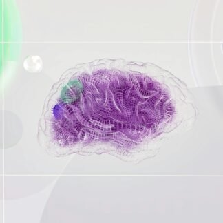 Transfer Learning Implementation