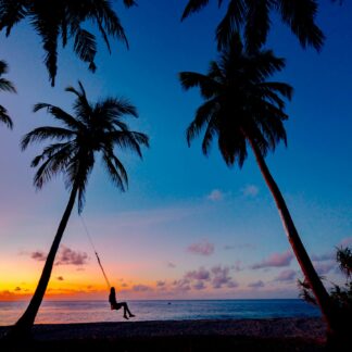 Ballet School Platform